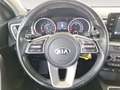 Kia Ceed / cee'd Kia XCeed Silber Rot - thumbnail 13