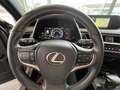 Lexus UX 250h 2.0 250H FWD 5D Gris - thumbnail 10