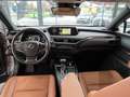 Lexus UX 250h 2.0 250H FWD 5D Gris - thumbnail 9