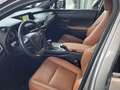 Lexus UX 250h 2.0 250H FWD 5D Gris - thumbnail 8