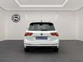 Volkswagen Tiguan 2.0 TDI Highline *STDHZ AHK KAMERA* Weiß - thumbnail 8