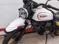 Ducati Scrambler Blanc - thumbnail 6