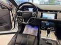Land Rover Range Rover Evoque 2.0d i4 mhev S awd 163cv auto Bianco - thumbnail 14