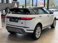 Land Rover Range Rover Evoque 2.0d i4 mhev S awd 163cv auto Bianco - thumbnail 5