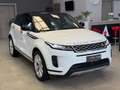 Land Rover Range Rover Evoque 2.0d i4 mhev S awd 163cv auto Bianco - thumbnail 2