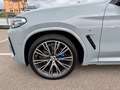 BMW X3 30 d M Sport PANO/AHK/360°/STOP&GO/STANDH. Gris - thumbnail 9