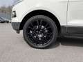 Ford EcoSport 1,0 EcoBoost Titanium S Blanco - thumbnail 13