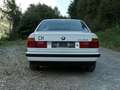 BMW 525 525iX Weiß - thumbnail 4