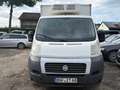 Fiat Ducato L4 Kühler -20 Grad Euro 5 Weiß - thumbnail 3