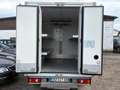 Fiat Ducato L4 Kühler -20 Grad Euro 5 Weiß - thumbnail 18