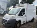 Fiat Ducato L4 Kühler -20 Grad Euro 5 Weiß - thumbnail 2