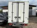 Fiat Ducato L4 Kühler -20 Grad Euro 5 Weiß - thumbnail 4