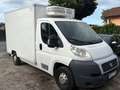 Fiat Ducato L4 Kühler -20 Grad Euro 5 Weiß - thumbnail 1