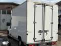 Fiat Ducato L4 Kühler -20 Grad Euro 5 Weiß - thumbnail 5