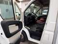 Fiat Ducato L4 Kühler -20 Grad Euro 5 Weiß - thumbnail 10