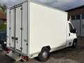 Fiat Ducato L4 Kühler -20 Grad Euro 5 Weiß - thumbnail 6