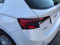Skoda Fabia Fabia 1.0 MPI 65 CV Ambition Bianco - thumbnail 11