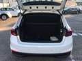 Skoda Fabia Fabia 1.0 MPI 65 CV Ambition Bianco - thumbnail 9