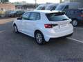 Skoda Fabia Fabia 1.0 MPI 65 CV Ambition Bianco - thumbnail 7