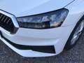 Skoda Fabia Fabia 1.0 MPI 65 CV Ambition Bianco - thumbnail 10