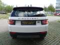 Land Rover Discovery Sport TD4 2,0 - Langstrecke - Euro 6d Bianco - thumbnail 11