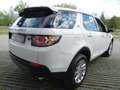 Land Rover Discovery Sport TD4 2,0 - Langstrecke - Euro 6d Blanc - thumbnail 12