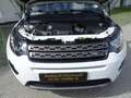 Land Rover Discovery Sport TD4 2,0 - Langstrecke - Euro 6d Bianco - thumbnail 13