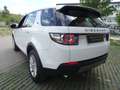 Land Rover Discovery Sport TD4 2,0 - Langstrecke - Euro 6d Weiß - thumbnail 25