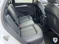 Audi Q5 Q5 40 2.0 tdi Business Design quattro s-tronic Bianco - thumbnail 14