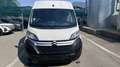Citroen JUMPER 33 L2H2 BlueHDi 140 CV Bianco - thumbnail 6
