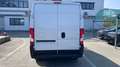 Citroen JUMPER 33 L2H2 BlueHDi 140 CV Bianco - thumbnail 3