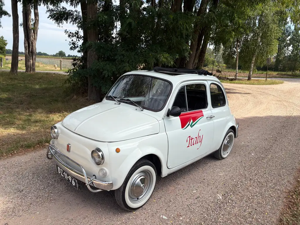 Fiat 500L 1969 из Европы — купить под ключ