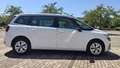 Citroen C4 SpaceTourer 1.5 bluehdi Live s&s 130cv eat8 Bianco - thumbnail 15