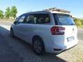 Citroen C4 SpaceTourer 1.5 bluehdi Live s&s 130cv eat8 Bianco - thumbnail 14
