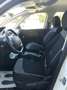 Citroen C4 SpaceTourer 1.5 bluehdi Live s&s 130cv eat8 Bianco - thumbnail 13