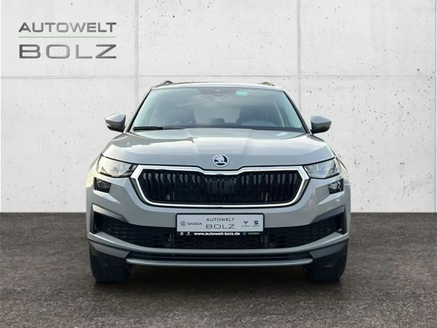 Skoda Kodiaq Tour 4x4 2.0 TDI AHK Navi DigiCock LED AC Grau - 2