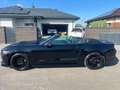 Ford Mustang Cabrio 3,7 Automatik/ Leder/ Blackline Schwarz - thumbnail 5