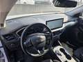 Ford Focus Turnier 1,5 EcoBlue Titanium Aut. FRONTSCHADEN! Weiß - thumbnail 6