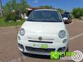 Fiat 500 1.2 Sport 69CV NEOPATENTATI Bianco - thumbnail 15