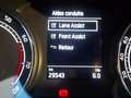 Skoda Fabia 5P 1.0 TSI 110cv Ambition DSG      16323€ + TVA Gris - thumbnail 40