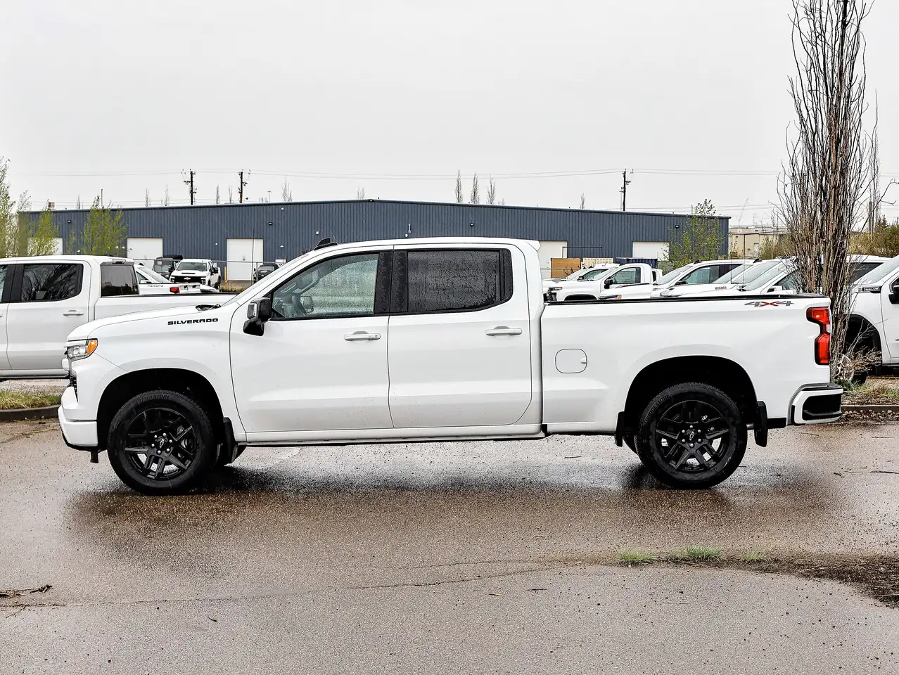 Chevrolet Silverado 1500 снимка Chevrolet Silverado 1500