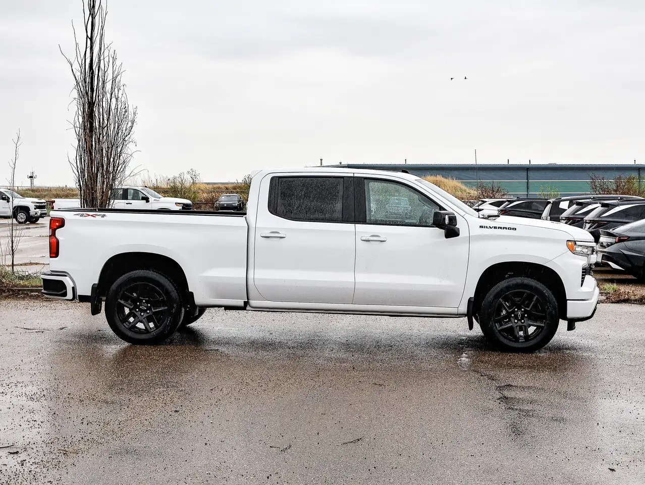 Chevrolet Silverado 1500 снимка Chevrolet Silverado 1500