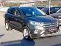 Ford Kuga 1.5 TDCI 120 CV S&S 2WD Titanium Gris - thumbnail 3