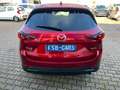 Mazda CX-5 Ad'vantage AWD Rot - thumbnail 4