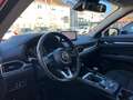 Mazda CX-5 Ad'vantage AWD Rot - thumbnail 16