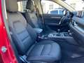 Mazda CX-5 Ad'vantage AWD Rot - thumbnail 13
