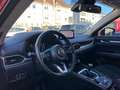 Mazda CX-5 Ad'vantage AWD Rot - thumbnail 10