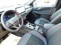 Ford Kuga Plug-In Hybrid ST-Line X  Autom. ACC / 360° Verde - thumbnail 9