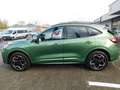 Ford Kuga Plug-In Hybrid ST-Line X  Autom. ACC / 360° Verde - thumbnail 8