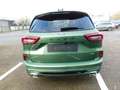 Ford Kuga Plug-In Hybrid ST-Line X  Autom. ACC / 360° Verde - thumbnail 6